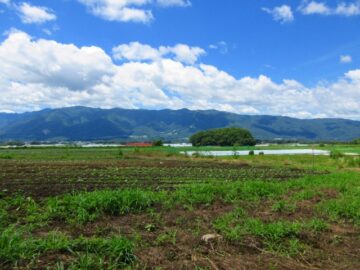 物件から南西方向入笠山の眺望（2026年7月）