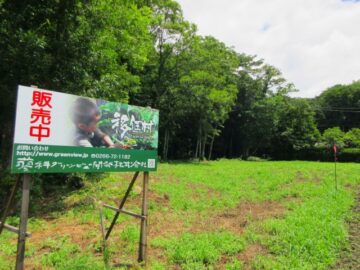 南西側から撮影（2026年7月）