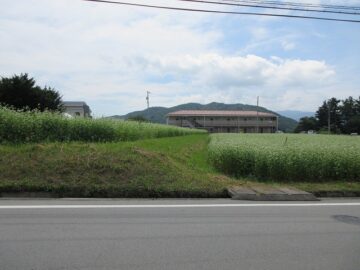 前面道路から南方向を撮影
