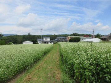 物件北方向を撮影