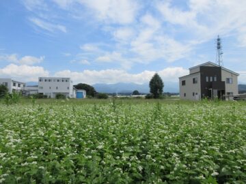 物件東方向を撮影