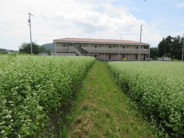 物件南方向を撮影