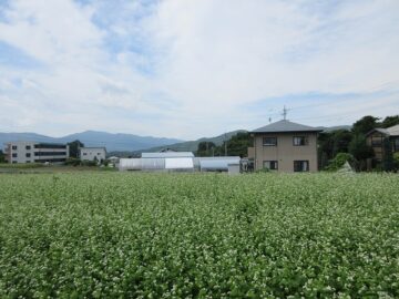 物件西方向を撮影