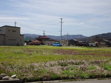 北側から撮影(2026年4月）