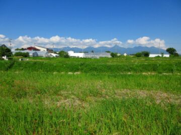 物件から東方向八ヶ岳の眺望（2026年7月）