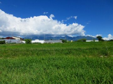 物件東方向の八ヶ岳の眺望（2026年8月）