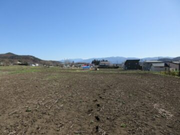 物件南方向を撮影（2026年4月