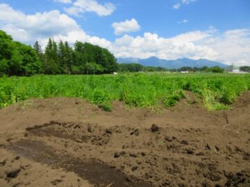 茅野市豊平 南大塩分譲地 区画３