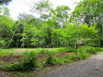 諏訪郡原村 深山Ⅱ（仲介）