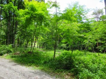 前面道路北西側から撮影（2026年6月）