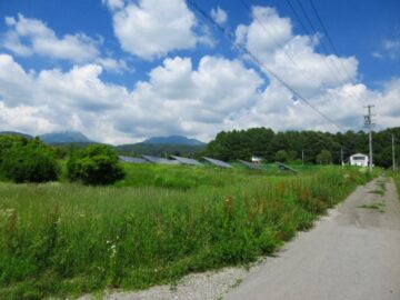 前面道路西側から撮影（2026年7月）