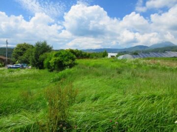 物件から北方向を撮影、蓼科山（2026年7月）
