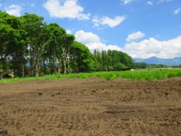 物件東方向を撮影（2026年6月）