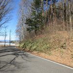 前面道路を撮影（2024年12月）